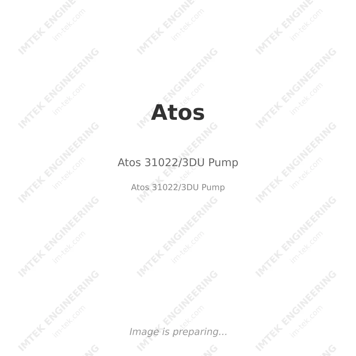 Atos 31022/3DU  Pump