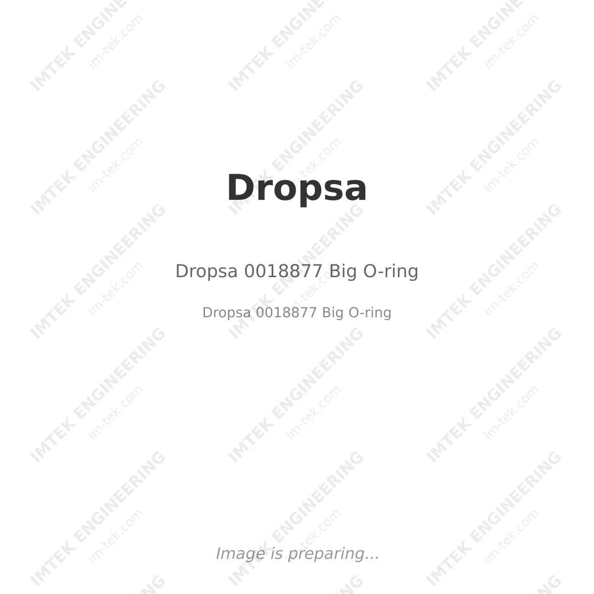 Dropsa 0018877 Big O-ring