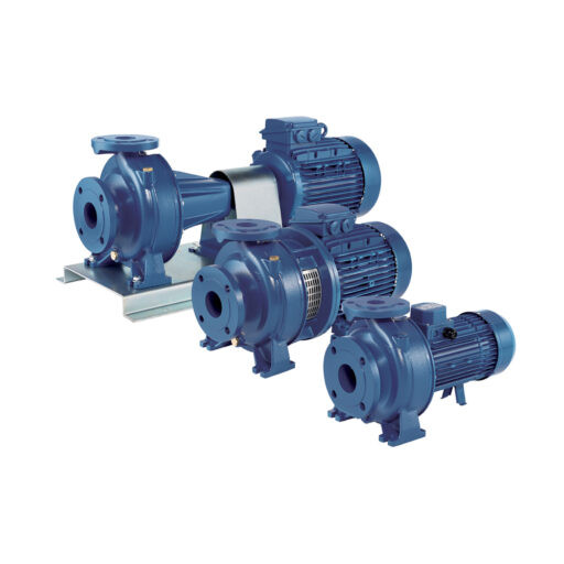 Ebara 65-125/5.5  Centrifugal Pump