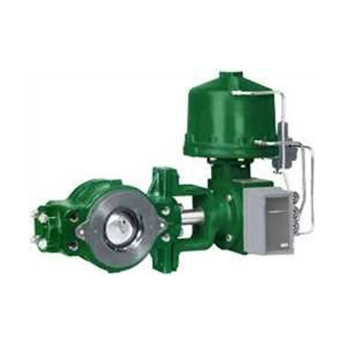 Fisher V250   Control Valve