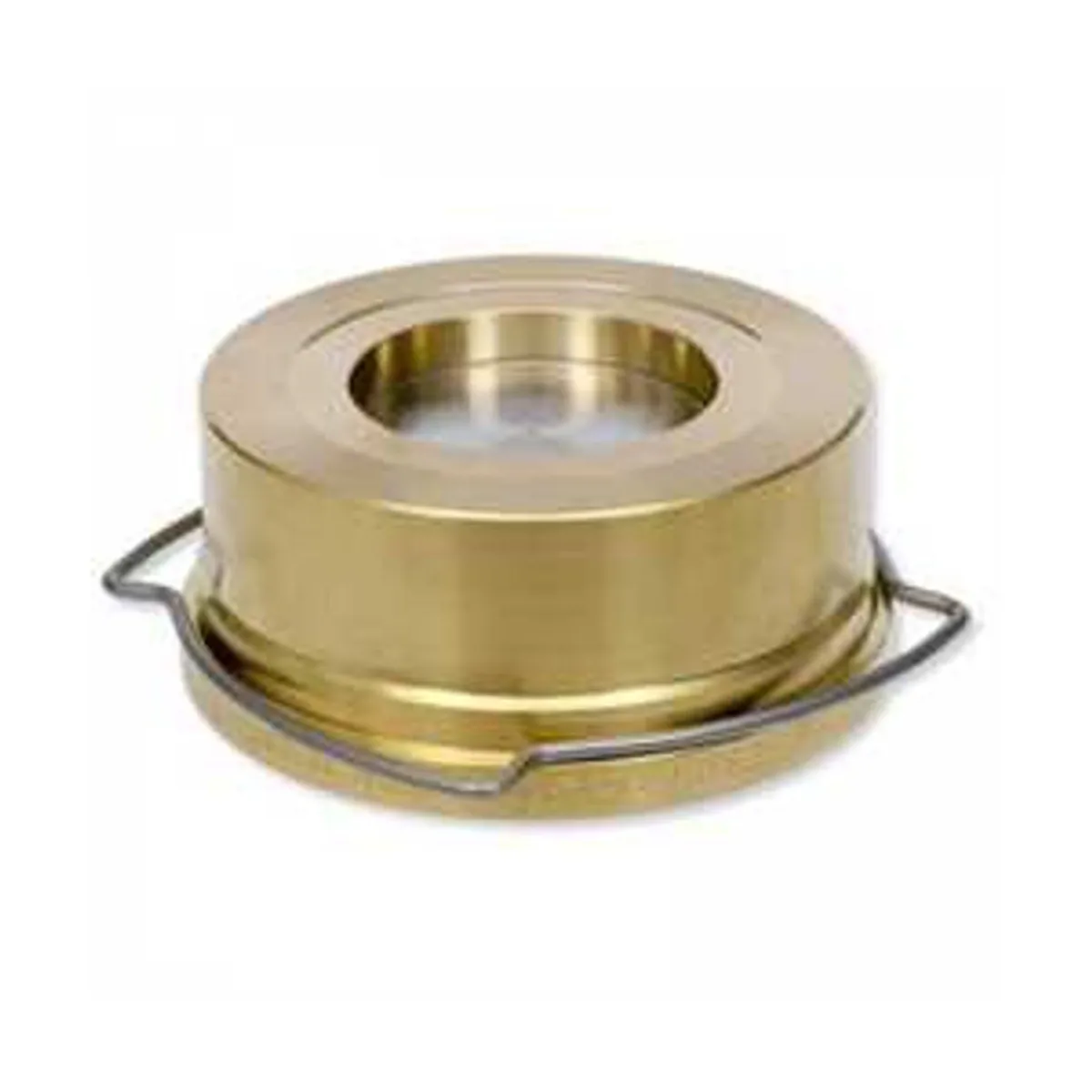 Gestra RK41 DN65 PN6-16 Non-return valve