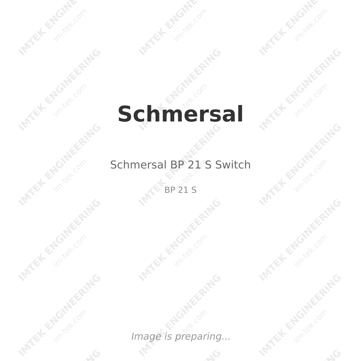 Schmersal BP 21 S Switch