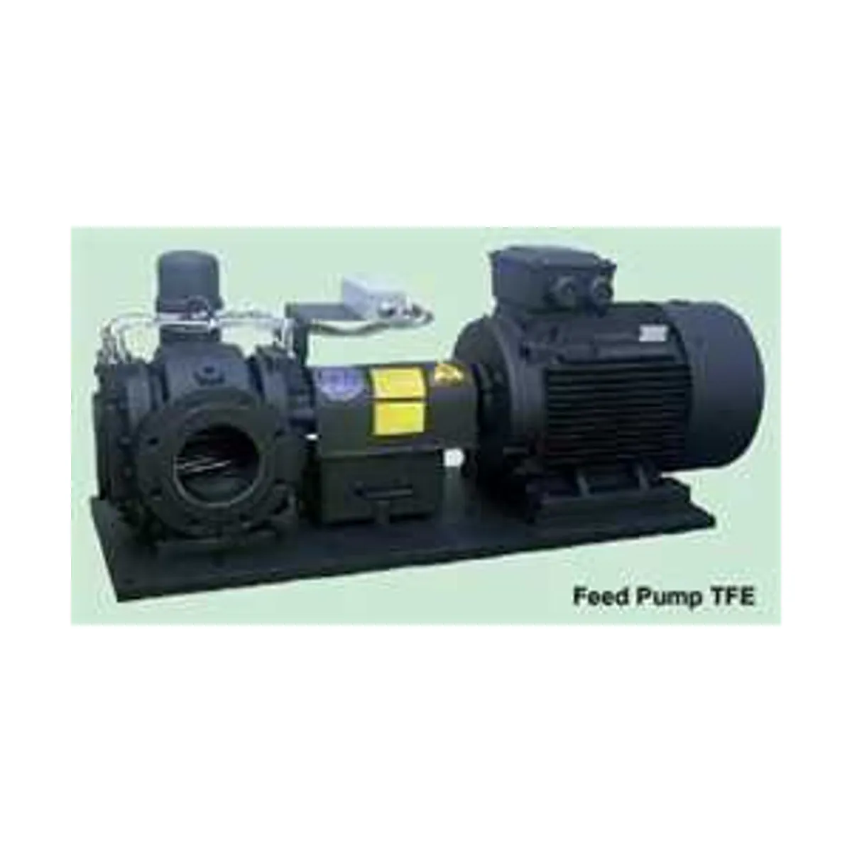 Steimel TE Series  Gear Pump