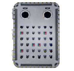 Adalet XJF-060806  Explosion Proof Control Enclosures Image