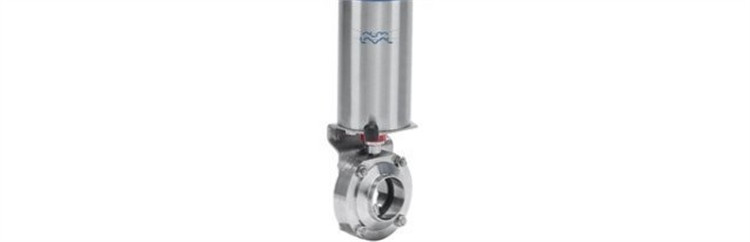 Alfa Laval 9612628321  LKB 63,5/2½ Image