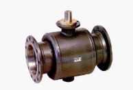 Böhmer FSA R 300.300  Ball Valve Image