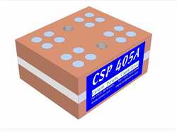 Celem CSP 405A  Conduction Cooled Capacitor Image