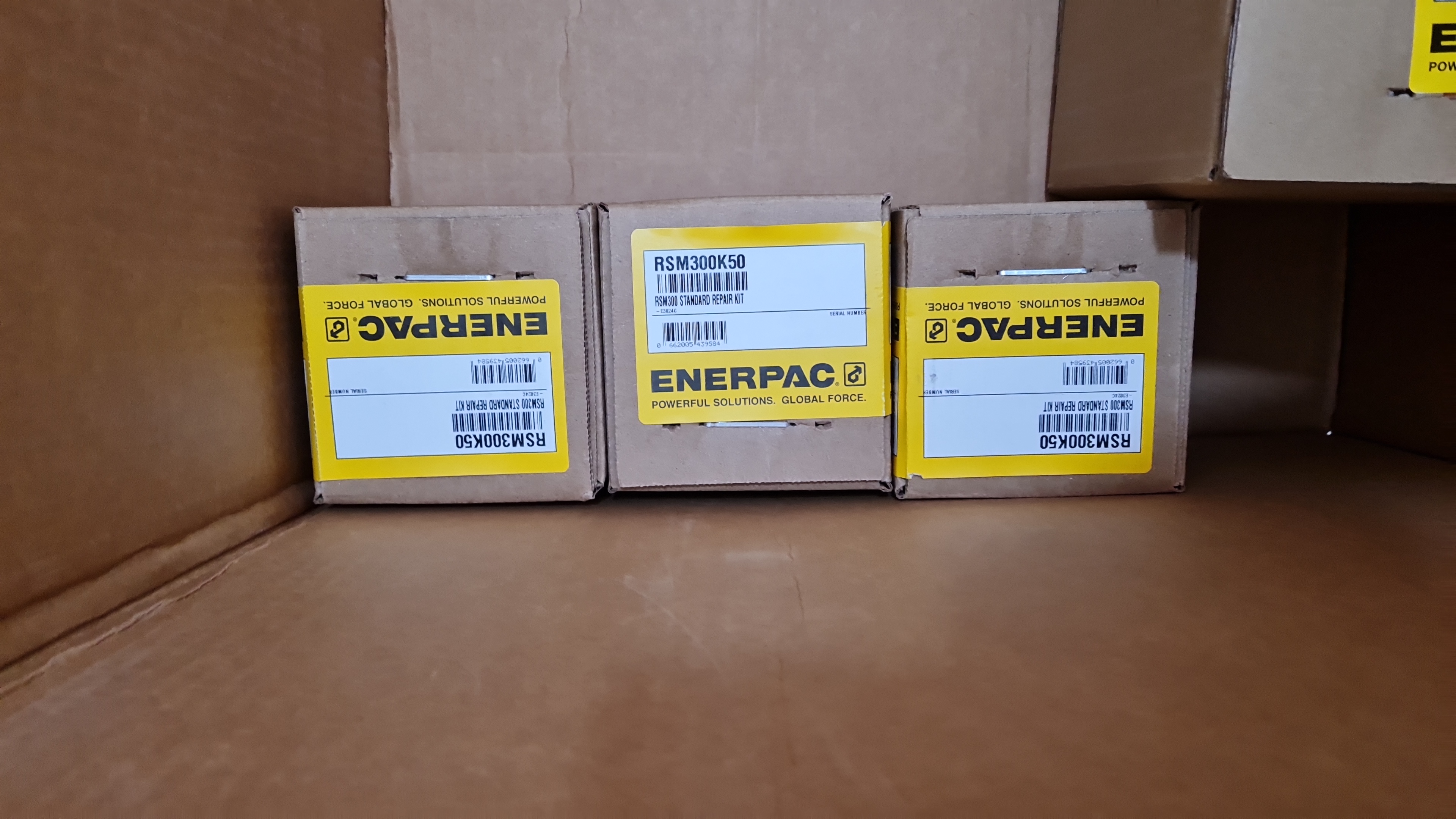 Enerpac RSM300K50 Repair Kit