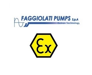Faggiolati G418R2C1-S100XA6  Pump Image