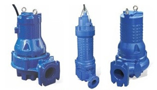 Faggiolati G620R3C2-V105AA2  Pump Image
