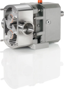 Fristam FL2 58S   Positive Displacement Pump Image