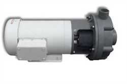 Fybroc BD Series  Forged CPVC  End Suction Pump Image