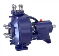 Goulds RN  ISO Process Pump Image