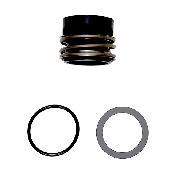 Grundfos 96306472 BAQE GG D Kit, Shaft Seal