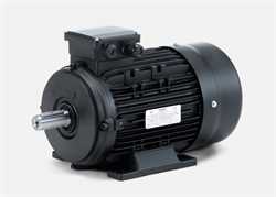 Hoyer 3120800100  IE2 Electric Motor Image
