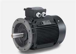 Hoyer 3240901209  IE2 Marine Motor Image