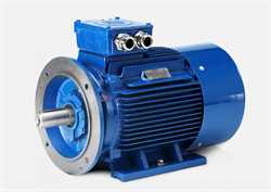 Hoyer MS Series  IE1/B3 Marine Motor Image