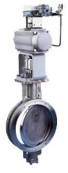 Koso 6300RB/710E Eccentric PARA-SEAL Valves Image