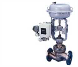 Koso VKG1010-010 Globe Valve Image