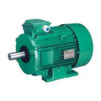 LEROY SOMER LS Series  Three-phase Induction Motors With Cast Iron Frame IE1 0.09 to 45 kW Image