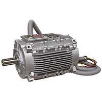 LEROY SOMER LSHT / FLSHT Series  Fan Motors For Smoke Extractor Fans  0.55 to 675 kW Image