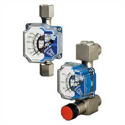 Meister M21010  Flowmeter Image