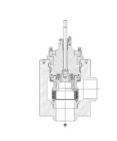 RBR Valvole AG3 Type  Cage Guided Angle Globe Control Valve Image