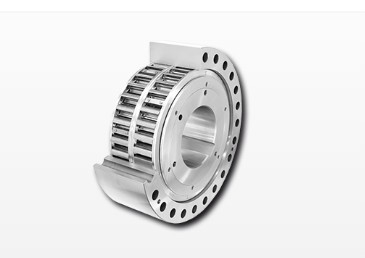 Ringspann FXM 170-63-SX Freewheels