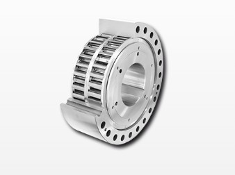 Ringspann FXM 200-63 SX/H100  Integrated Freewheel