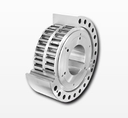 Ringspann FXM 200-63SX/H100  Freewheel