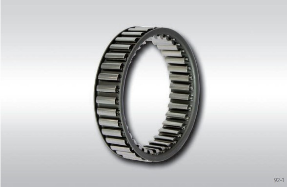 Ringspann SF 107-25-48K 3673-107005-000000 Cage Freewheel