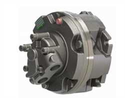 Sai GM1 100 1H D313 DBM Hydraulic Motor Image