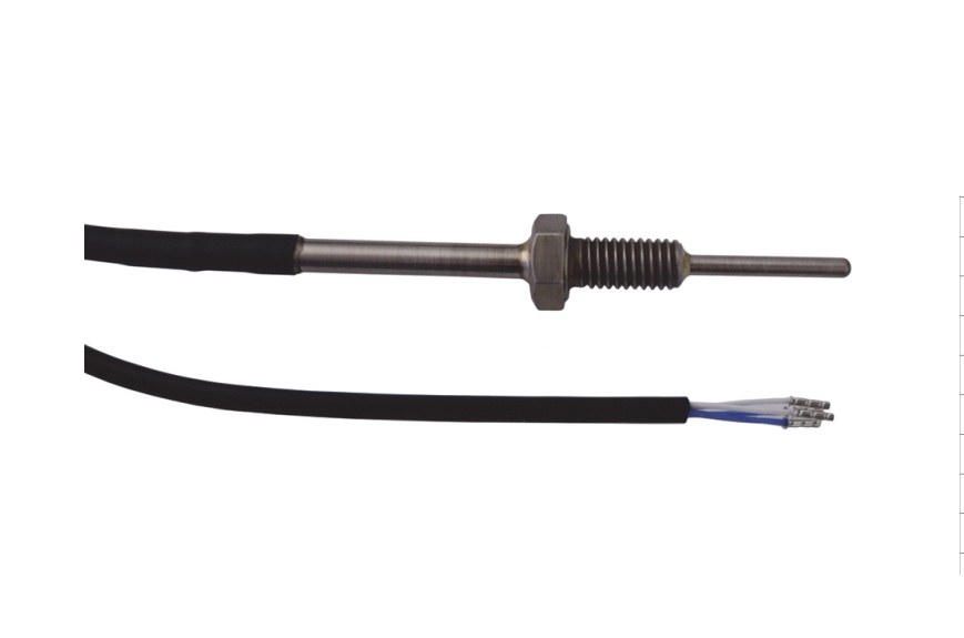 Senseca GTF102-P4-Z-MB0-30-0100-G1-L01-S  Screw-ın Probe