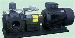 Steimel BZP052008FLE-150L Gear Pump