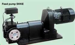 Steimel SKKE Series  Rotary Piston Pump Image