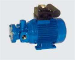 Steimel TFL10-180RDG Gear Pump