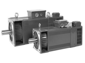 T-T Electric AMS 100  AC Motor Image