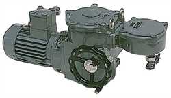 Zpa Pecky MO EEx Electric Actuator Image